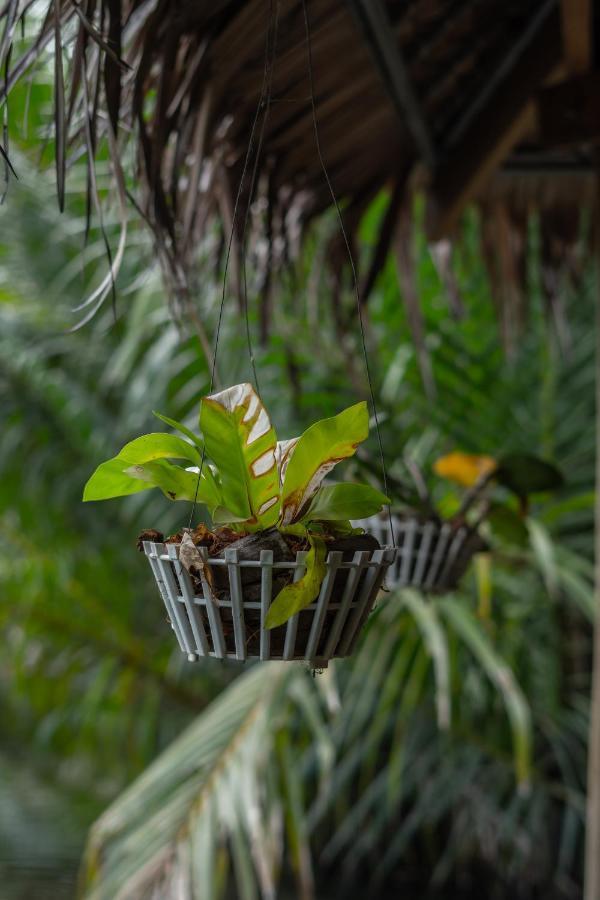 فندق كامبوتفي  Nary Garden المظهر الخارجي الصورة