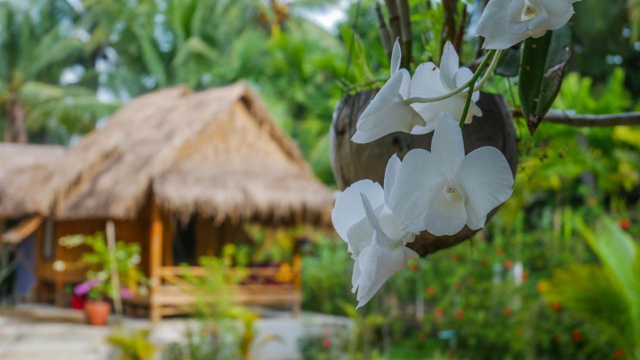 فندق كامبوتفي  Nary Garden المظهر الخارجي الصورة